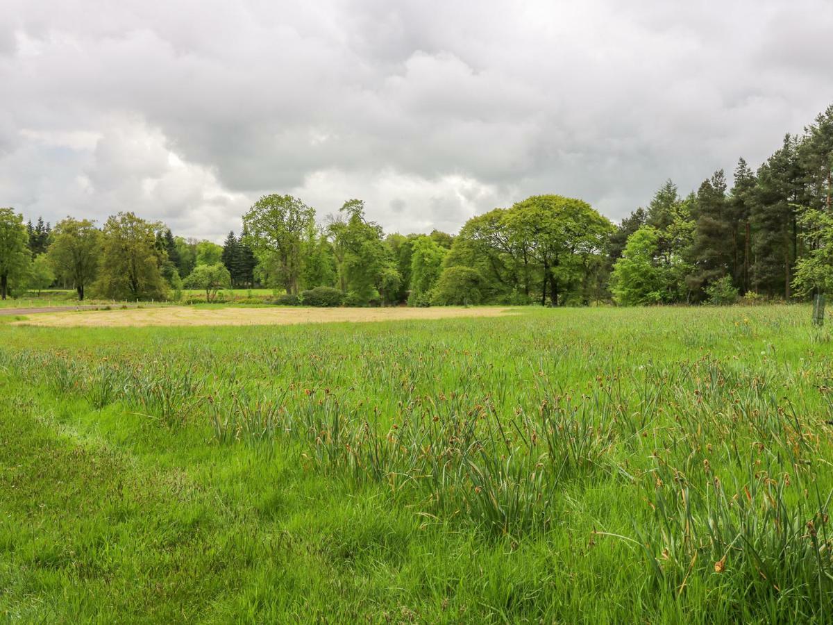 Gate Lodge West Calder المظهر الخارجي الصورة